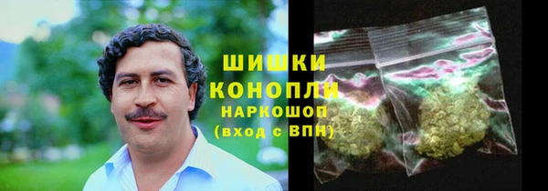 прущие грибы Краснослободск